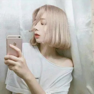 盗贼生涯
